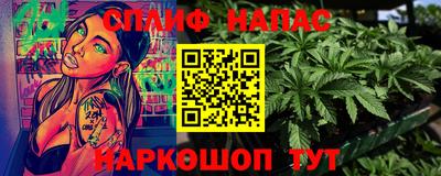 МДПВ Обь