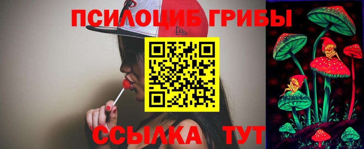 Галлюциногенные грибы Psilocybe  Вход с VPN  Псилоцибиновые грибы Psilocybine cubensis  Тимашёвск 