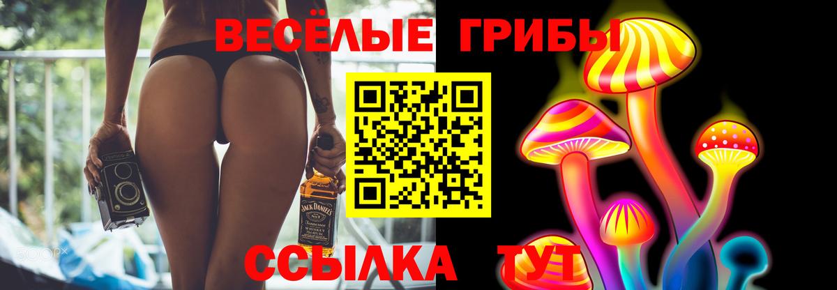 Галлюциногенные грибы мухоморы Тимашёвск